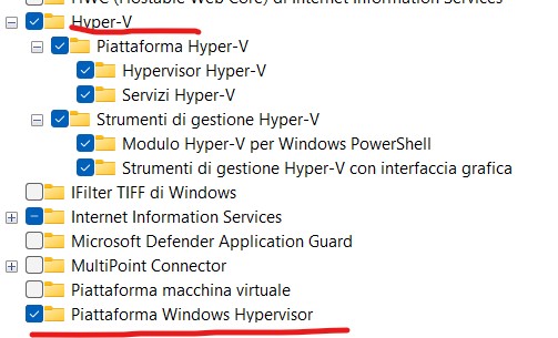 Figura 6 – Le funzionalità di Windows da installare.