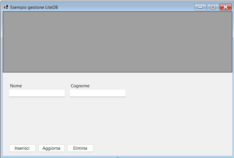 La forma per la gestione dei dati di LiteDB