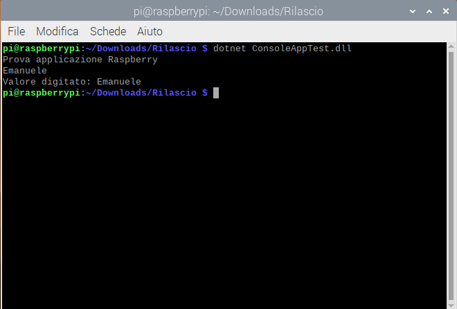 Terminale Raspberry per eseguire applicazione