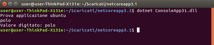 appolicazione che gira sul terminale Ubuntu