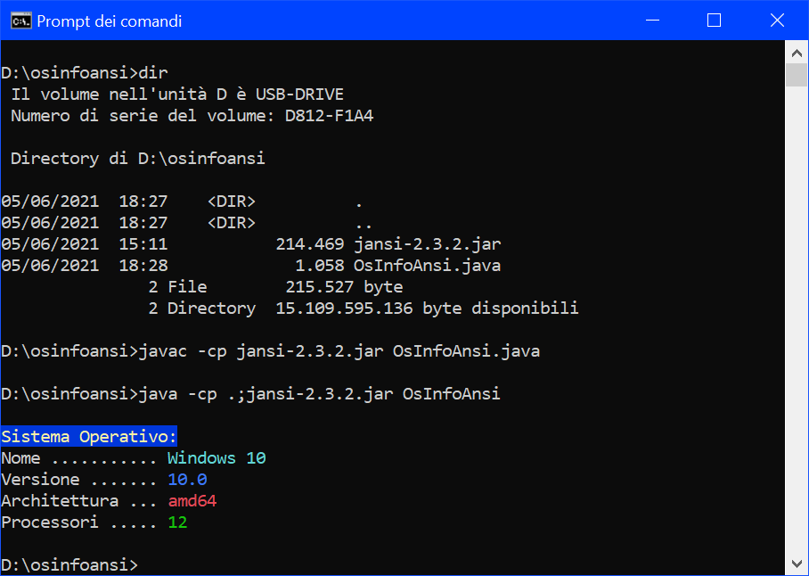 Screenshot risultato esempio OsInfoAnsi