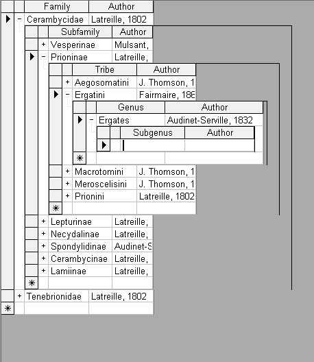 Qui si vede come la relazione tra le tabelle funziona ma non può arrivare sino alla sottospecie perchè l'assenza del "subgenus" di questo coleottero impedisce il collegamento con la tabella "Species" e di conseguenza con la tabella "subspecies".