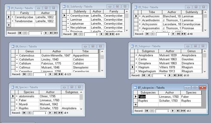 Queste sono le 7 tabelle in modalità visualizzazione.