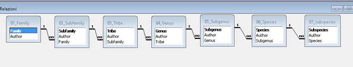 Queste sono le relazioni che ho predisposto come collegamento tra le tabelle.